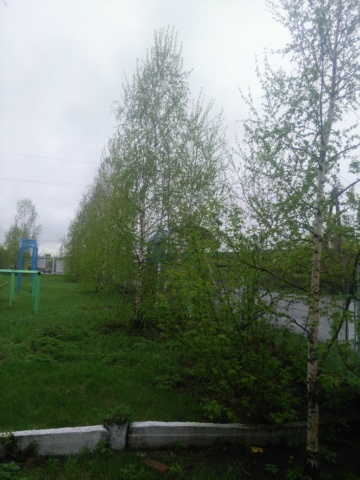 Акция «Сад памяти»