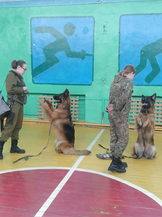 Встреча с кинологами