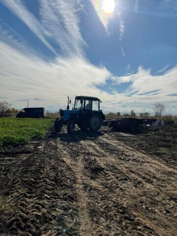 Студенческий флешмоб