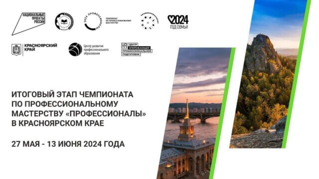 Профессионалы 2024