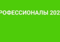 РЧ Профессионалы 2025