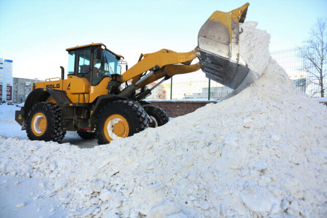 ИЧ Профессионалы 2025