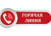 «Об организации работы «горячей линии» прокуратуры